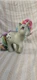 Moonstone Rainbow Collection 35th Anniversary Hasbro My Little Pony MLP