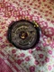 Beyblade Burst Evolution Switch Strike Hasbro E2393 Noctemis N3 Anime Bey Toy