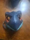 Jurassic World Dominion Therizinosaurus Dinosaur 33 in Movie Mask - GWY33