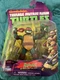 Teenage Mutant Ninja Turtles RAPHAEL Figure Nickelodeon Playmates 2012 BRAND NEW