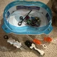 Beyblade Burst Playset Stadium Launchers Ripcords Tops Anime Manga Boxed