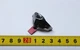 Closed Headwear Figure Hot Toys 1/6 Ant-Man And The Wasp HT Ant-Man 3.0 MMS497