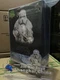 Ready ship New Hot Toys MMS768 Solo A Star Wars Story 1/6 Range Trooper figure