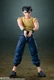 Bandai S.H. Figuarts Yu Yu Hakusho Yusuke Urameshi
