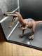 Mattel Jurassic World Roarivores Baryonyx Dinosaur Action Figure 2017 Brown