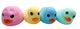 Sunny Days Laffy Quacks Duck Squeeze Toys Set of 4 470509