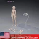 US 86TOYS 1/12 T86-ST01-A Pale Skin Small Bust 6" Female Action Figure Head Body