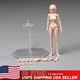 USA 86TOYS T86-ST02-A 1/12 Pale Skin Medium Bust 6in Female Action Figure  Body