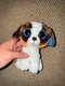 Ty Beanie Boos DUKE the St. Bernard Dog 6" 15cm NEW MWMTs Plush Stuffed Toy