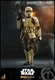 Hot Toys Star Wars Mandalorian Shoretrooper Sixth Scale Figure TMS031