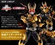 Bandai SHF S.H.Figuarts Shinkocchou Rider KUUGA Rising Ultimate Action Figure