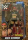 WWE Mattel ELITE COLLECTION SERIES 104 RICK STEINER FIGURE