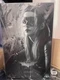 Hot Toys MMS627 Batman 1/6  The Dark Knight Trilogy Catwoman  Figure In Stock