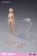 86TOYS 1/12 T86-ST03-B Suntan Skin Large Bust 6" Female Action Figure Head Body