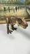 Jurassic World Tyrannosaurus T-Rex Dino Escape Stomp N Escape Action Figure