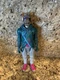Fortnite DJ Yonder Victory Series Posable 12 inch&nbsp;Action Figure Epic Games