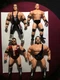 WCW Figures NWO 5" Thunder Champions Goldberg Bret Hart, Scott Hall, Giant 1998