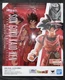 Son Goku Kaio-Ken S. H. Figuarts Dragon Ball Z Collectible Figures
