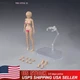 USA 86TOYS T86-ST01-B 1/12 Female Action Figure Body Suntan Huge Breast w/Stand