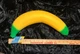 Sunny Days Jumbo XL Squeezy Banana Squishy Sensory Toy  New W/Tags! 🍌