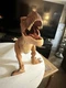 Mattel Jurassic World Super Colossal Tyrannosaurus Rex Figure 40 Inch
