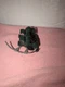 Kenner Jurassic Park Series 1 Alan Grant Accessories