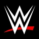 WWE Action Figures (Multiple Characters Available) Mattel 