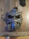 Transformers Rise of the Beasts 2-in-1 Transforming Mask Optimus Primal Figure