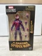 Hasbro Marvel Legends Series: The Amazing Spider-Man Hellfire Gala Action Figure