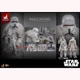 Hot Toys MMS768 Star Wars range trooper 1/6 Scale Limited Edition Action Figure