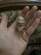 NECA Trick'r Treat Sam Ultimate 7&rdquo; Head Only