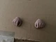 Hot Toys MMS774 Terminator 2 ~ 1/6 Scale T-1000 Pair of Handgun Hands (LOOSE)
