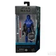 HASBRO STAR WARS BLACK SERIES 6" GAMING GREATS IMPERIAL SENATE GUARD