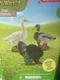 SCHLEICH FARM WORLD ITEM #77546 FOWL FRIENDS GOOSE DUCK & TURKEY SET 3 ❤️blt7j2