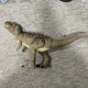 Jurassic World Camp Cretaceous Epic Roarin Tyrannosaurus Rex Mattel 2020 Works
