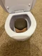 Skibidi Toilet Mystery Surprise Flushing Toilet w/ Mystery Figure