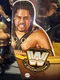 WWE Elite Collection (Series 18) Chase Fatu Target Exclusive New Mint In Hand