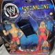 2003 Jakks WWF Adrenaline Series 4 Torrie Wilson & Billy Gunn