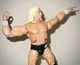 WWE Mattel Elite Japan Legends Series 22 Hulk Hogan Target Action Figure