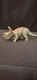 # 176 Mattel Jurassic World Dominion Triceratops Collector Action Figure 2021