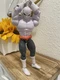 Bandai Namco Dragon Ball Super Jiren, Dragon Ball Evolve 5" Action Figure NO BOX