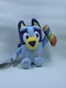 Bluey Friends Bluey with Xylophone 7" Plush Moose Toys New Tags HARD TO FIND