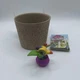 Kevin The Bird - Disney Doorables Series 15: In Full Bloom- Up- Ultra Rare