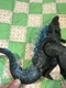 Godzilla vs Kong 7" Battle Roar GODZILLA, MecaGod Figure Monsterverse Playmates