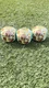NEW MGA Miniverse make it mini Harry Potter HONEYDUKES Bertie Botts BEANS  RARE