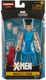 Marvel Legends X-Men 6 Inch Action Figure BAF Colossus AOA Legion IN STOCK