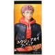 T84101: TAITO TV Anime Jujutsu Kaisen Yuji & Aoi Figure &ndash; Yuji