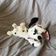 Disney Store Mini Bean Bag Plush Beanie Jewel 8" 101 Dalmatians