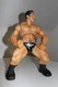 WWE The Animal Dave Batista Ring Giants Jakks Pacific 14" Wrestling Figure 2005