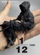 1/12 Scale Jacket, Pants Model for 6''male VTOYS X BMS VB002 VB003